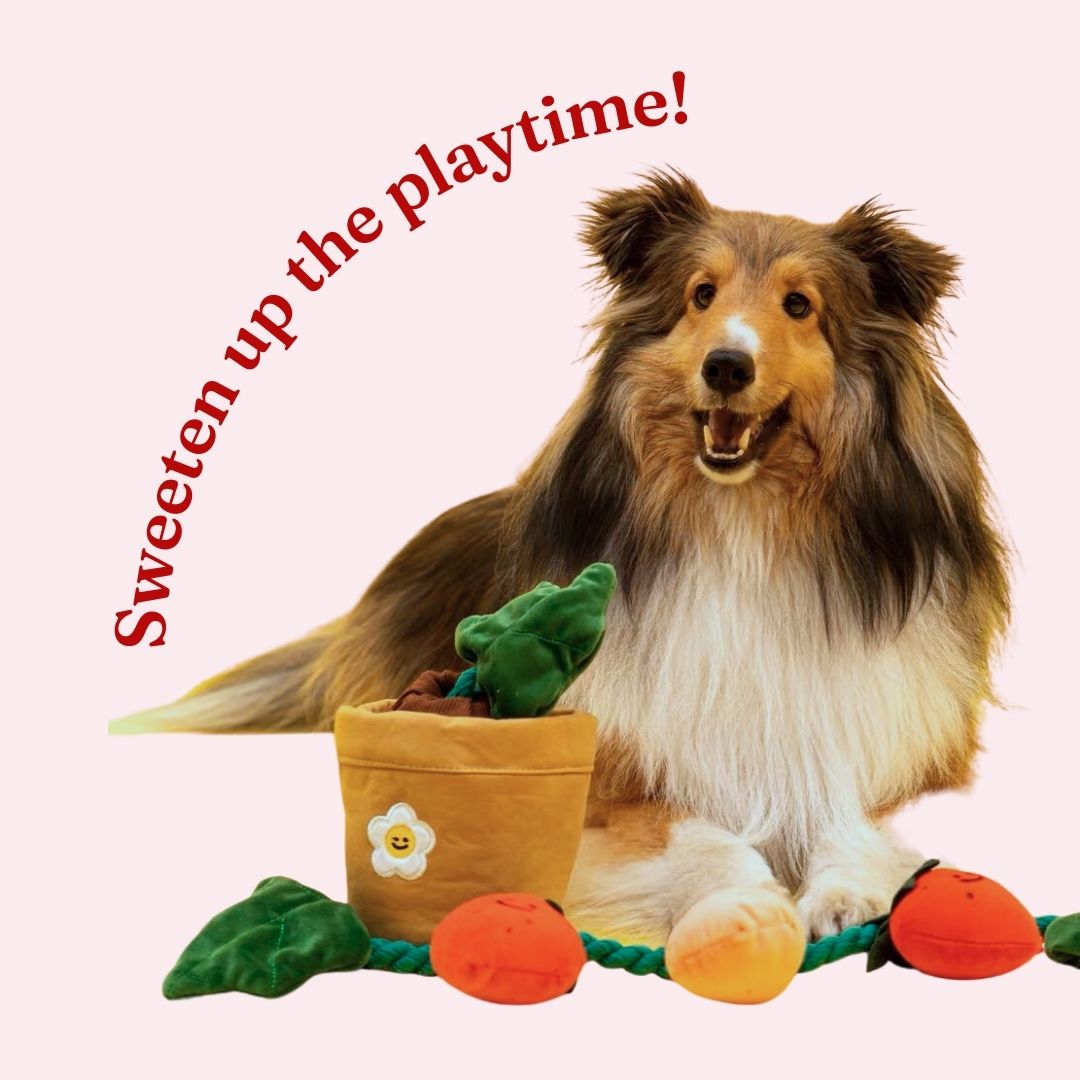 Strawberry Squeaky Snatcher 3-in-1