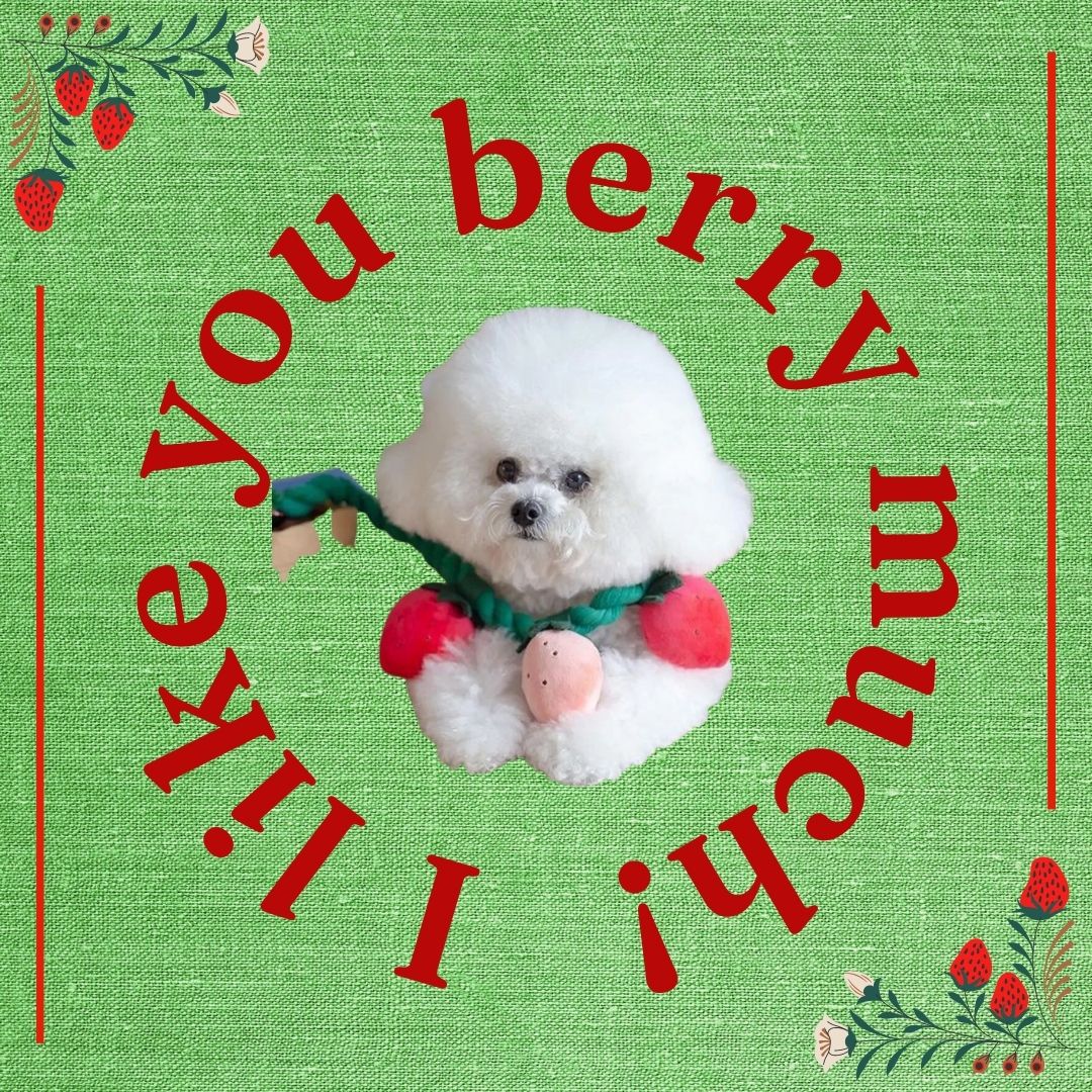 Strawberry Squeaky Snatcher 3-in-1