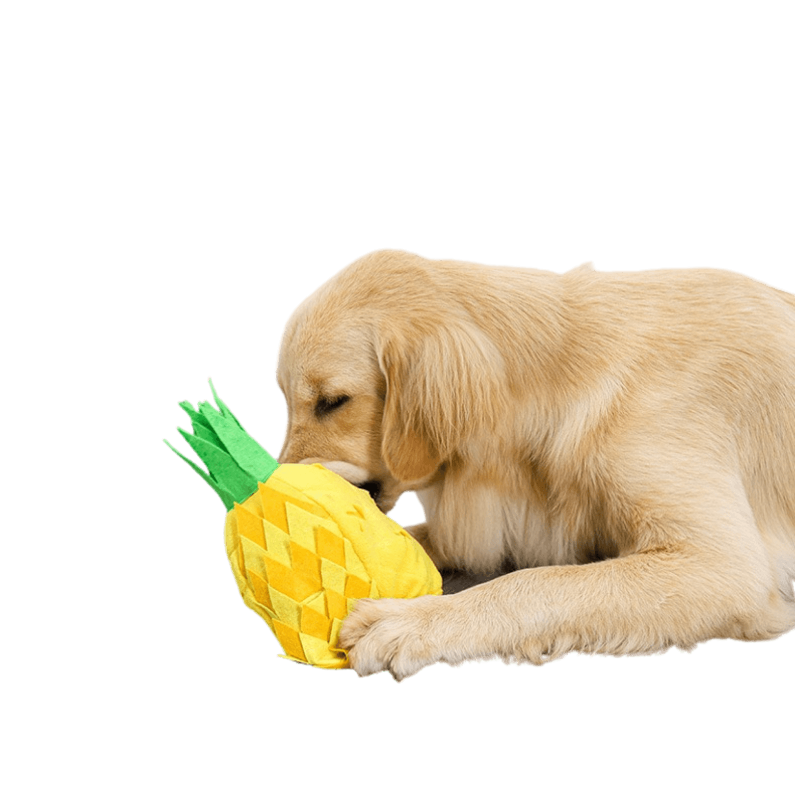 "Mr. Pineapple" Snuffle Toy ｜ PupUp