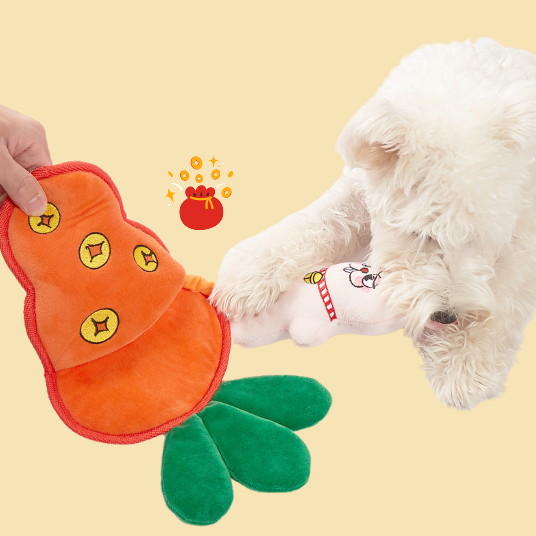 Carrot Fat Choi (Money) Pull Plush Toy