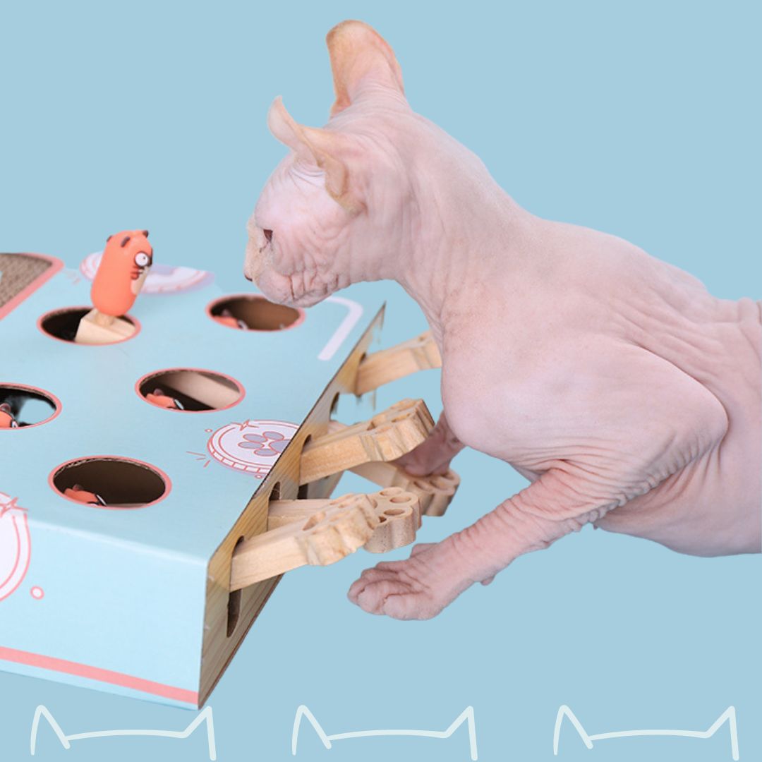 Whack-a-mole Scratching Board