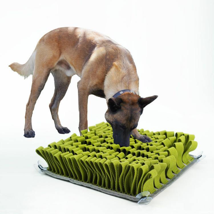 Grass-like Snuffle Mat|PupUp