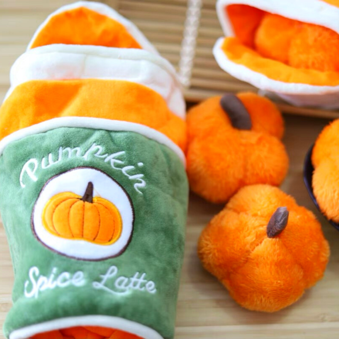 "Pumpkin Spice Latte" Hide-and-Seek Dog Toy