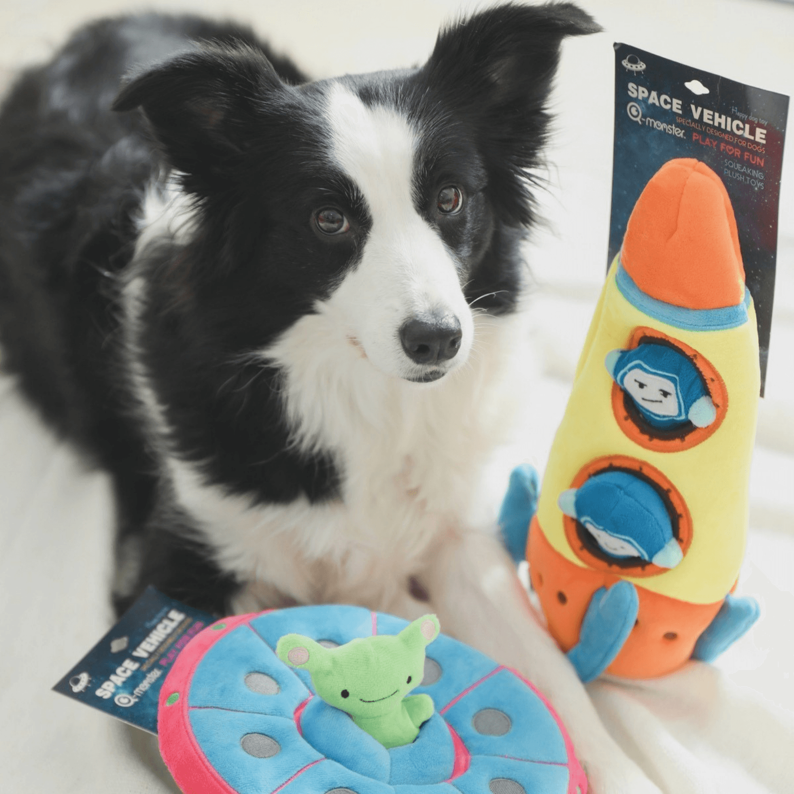 "Space Mission: Planet of the Dogs" Hide-and-Seek Dog Toy｜PupUp