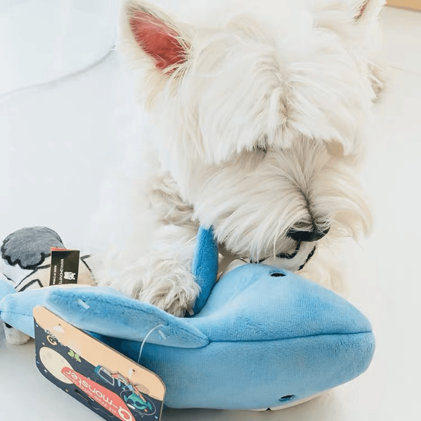 "Jaws & Paws" Hide-and-Seek Dog Toy|PupUp