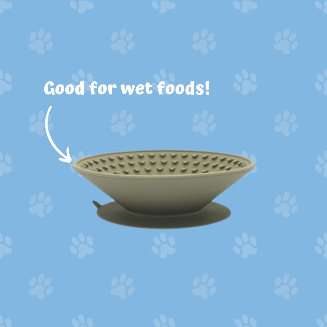 Lick-Me Slow Feeding Bowl