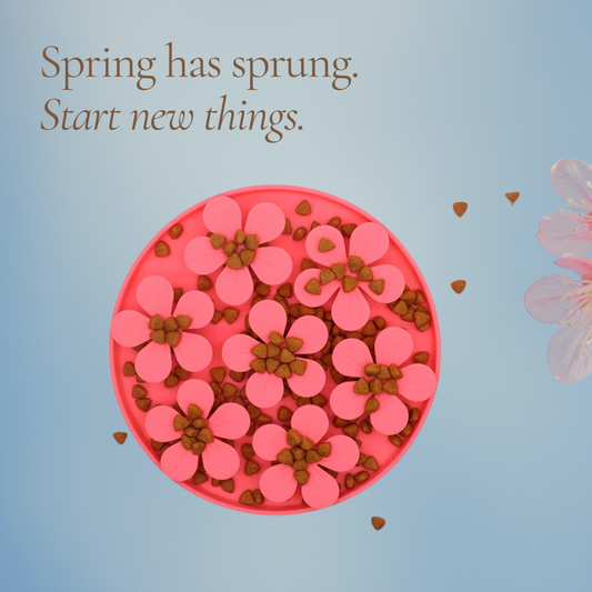 Spring Floral Cherry Blossom Snuffling Bowl