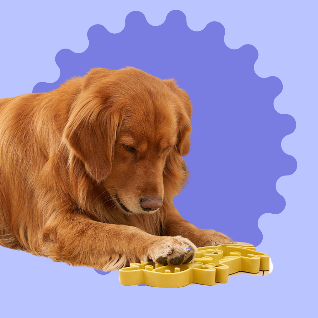 Woody Cowboy Biting Bowl