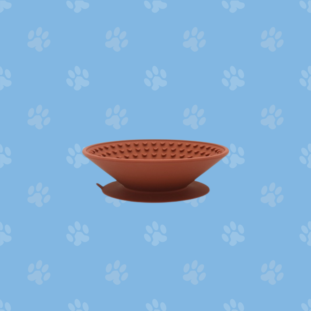 Lick-Me Slow Feeding Bowl