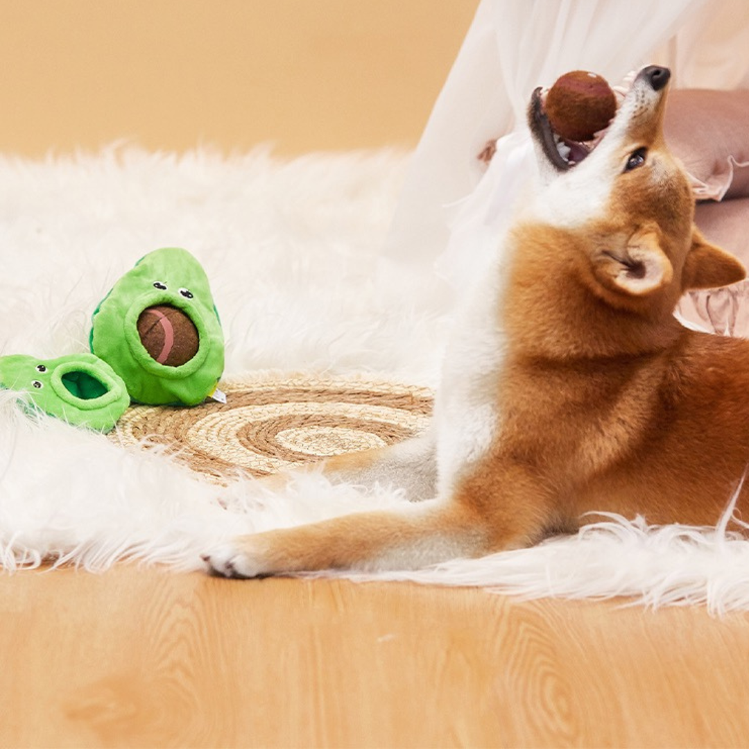 Avocado Throw-and-Catch Tennis Ball