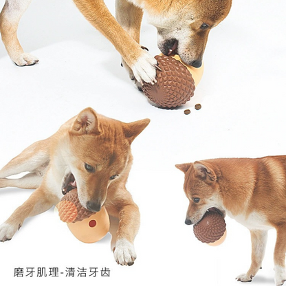 PinePaws Spinner