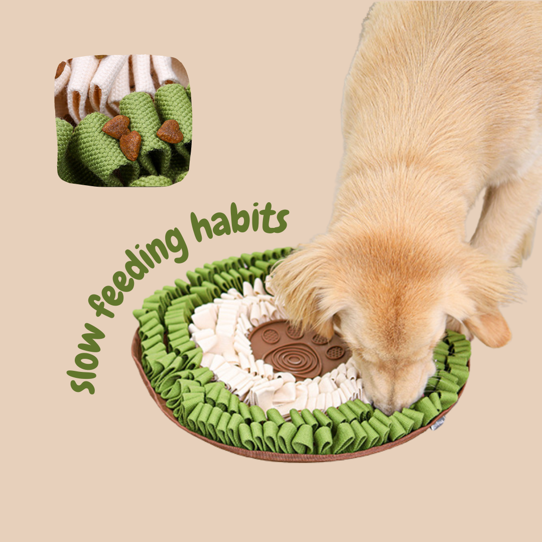 2 Silicone Slow Feeder Dog Bowl Snuffle Mat Cat Licking Puzzle Toy Feeder Game, Green